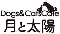 京都の犬カフェ・猫カフェで癒しのひとときを|犬猫カフェ 月と太陽